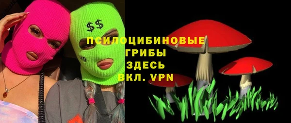 таблы Алексин