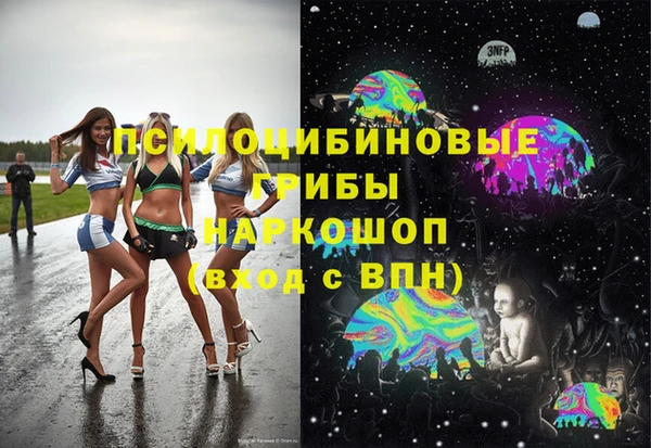 дживик Алзамай