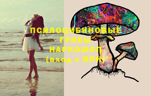 дживик Алзамай