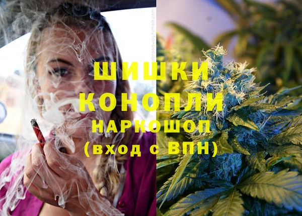 дживик Алзамай
