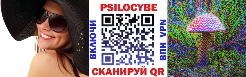 Псилоцибиновые грибы Psilocybe  Киселёвск 